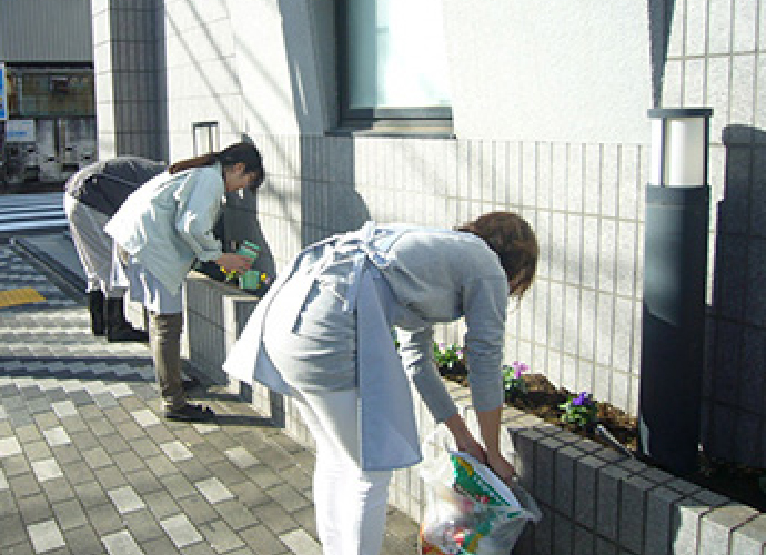 社屋の緑化作業2